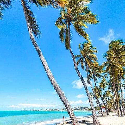 Praia de Pajuçara