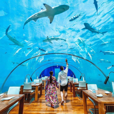 Ithaa Undersea Restaurant