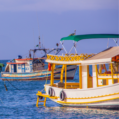 Passeio de Barco